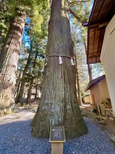 河口浅間神社(山梨県)