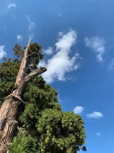 吉備津彦神社(岡山県)