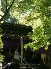 長楽寺の自然