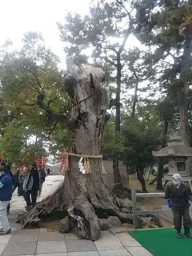 住吉大社(大阪府)