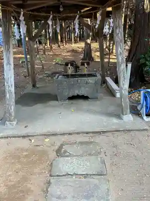 椿ノ海　水神社(千葉県)