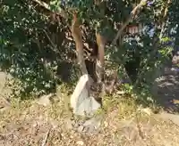 陸奥総社宮の周辺