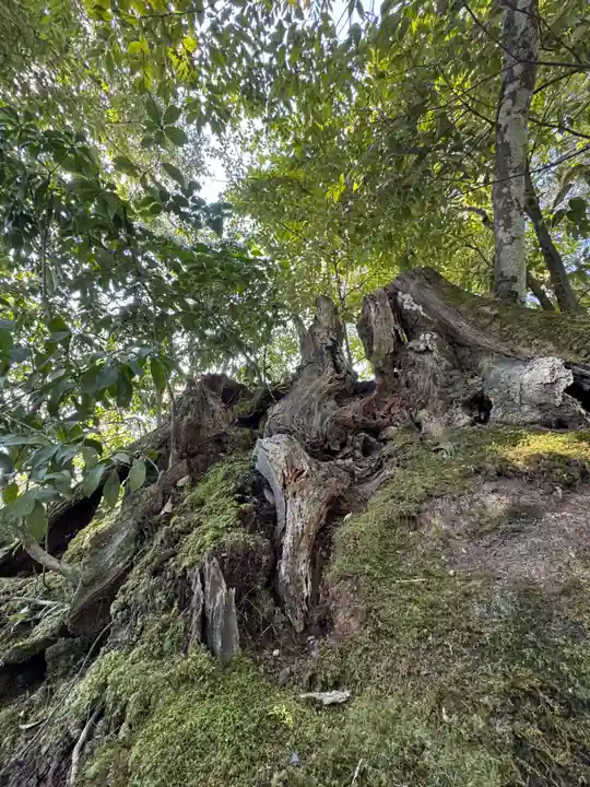 鹿苑寺(金閣寺)の御朱印