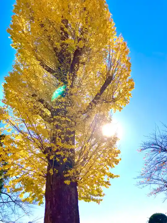 常福寺(茨城県)