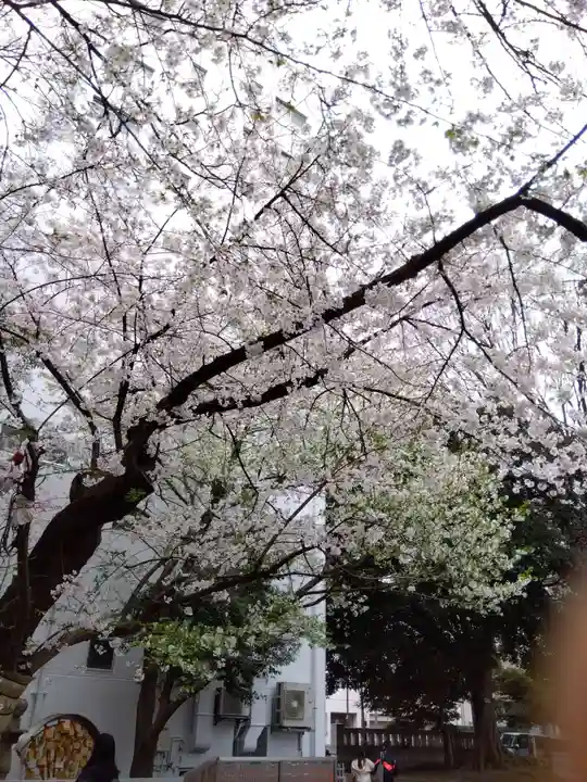 花園神社の自然