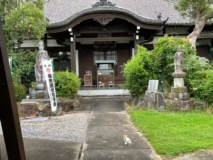 円観寺の本殿・本堂
