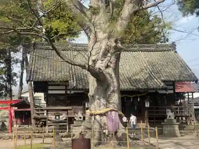 白鳥神社(長野県)