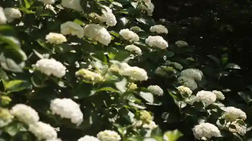 岡寺（龍蓋寺）(奈良県)