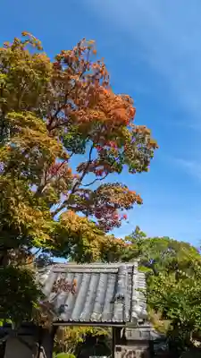 正法寺(京都府)