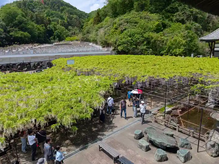 長泉寺(埼玉県)