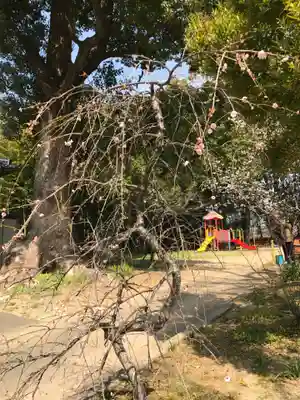 草木八幡神社(福岡県)