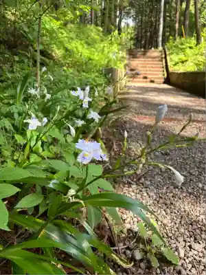 日光大室高龗神社(栃木県)