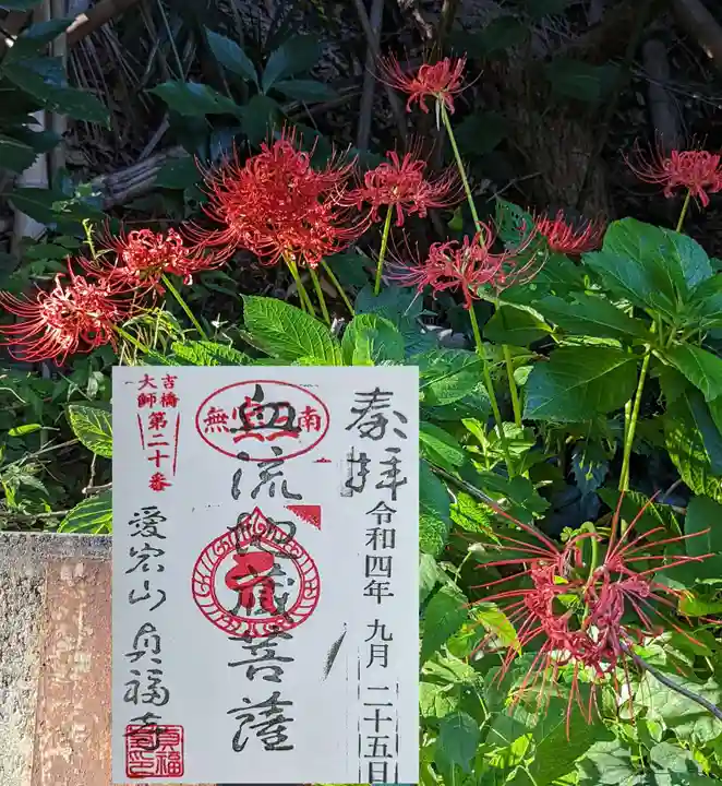 貞福寺の御朱印