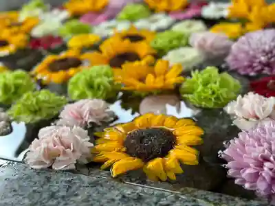 金蛇水神社(宮城県)