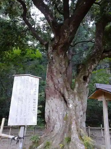 小國神社の自然