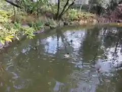 嚴島神社 (京都御苑)の自然