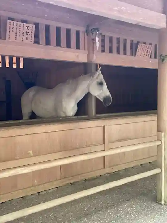 伊勢神宮外宮(豊受大神宮)(三重県)