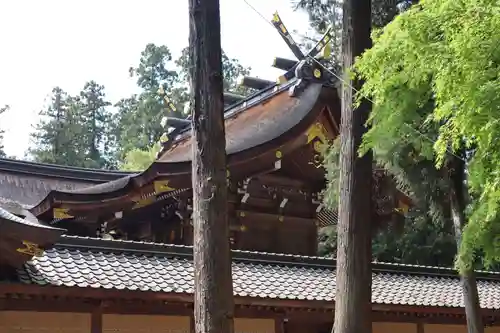 多賀大社(滋賀県)