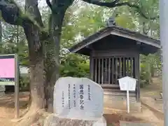 野口神社の自然