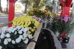 美奈宜神社の手水