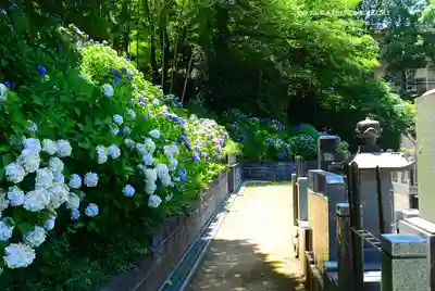 天台宗　長窪山　正覚寺(神奈川県)