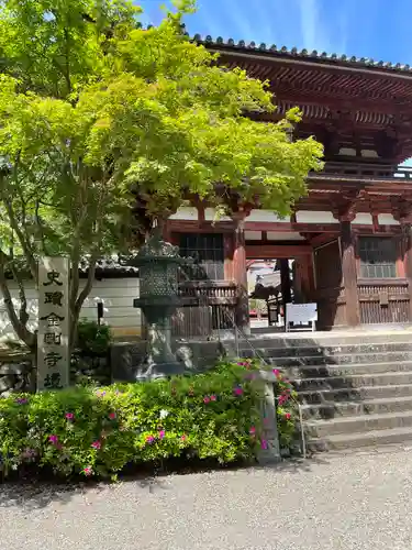金剛寺(大阪府)
