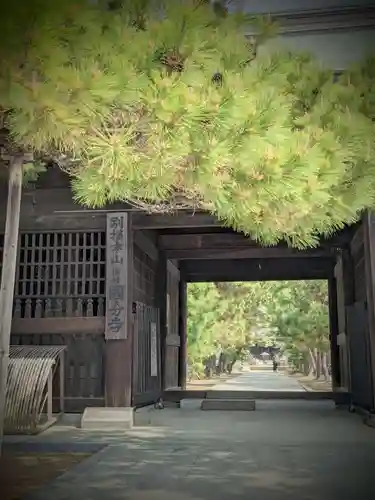 讃岐國分寺の山門