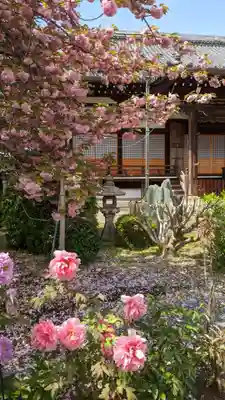 本満寺(本願満足寺)(京都府)
