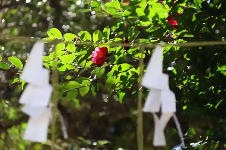 神炊館神社 ⁂奥州須賀川総鎮守⁂の自然