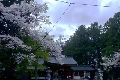 冨士御室浅間神社(山梨県)