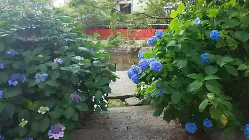 稗田野神社(薭田野神社)の自然