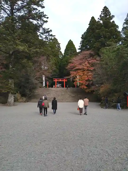 霧島神宮(鹿児島県)
