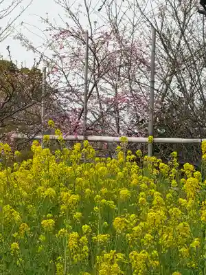 石清水八幡宮の{uncategorized: "未分類", other: "その他", undefined: "問題あり", building: "その他建物", grave: "お墓", sacred_gate: "鳥居", guardian: "狛犬", statue: "像", buddha: "仏像", history: "歴史", nature: "自然", garden: "庭園", animal: "動物", pagoda: "塔", temizu: "手水舎", mountain_gate: "山門・神門", sanctuary: "本殿・本堂", subordinate: "末社・摂社", art: "芸術", scenery: "景色", jizo: "地蔵", ema: "絵馬", goshuin: "御朱印", omikuji: "おみくじ", items: "授与品その他", amulet: "お守り", goshuincho: "御朱印帳", eats: "食事", festival: "お祭り", votive_dance: "神楽", shichigosan: "七五三参", wedding: "結婚式", experience: "体験その他", initially: "初詣", around: "周辺", anti_infection: "感染症対策"}