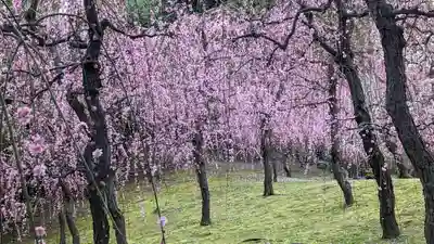 城南宮(京都府)