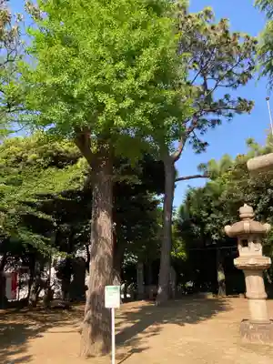 品川神社の自然