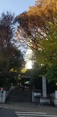 宮益御嶽神社の鳥居