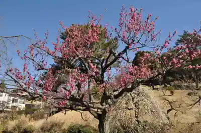 師岡熊野神社(神奈川県)