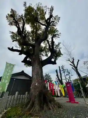 玉田神社(京都府)