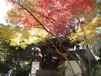 本土寺の山門・神門