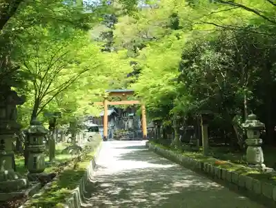 若宮神社(滋賀県)