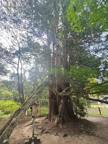 伊佐須美神社(福島県)