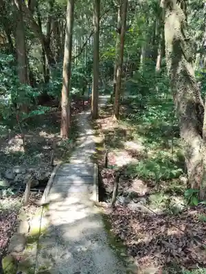 土佐神社の自然