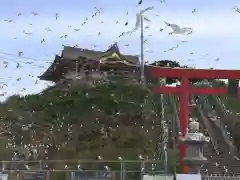 蕪嶋神社の動物