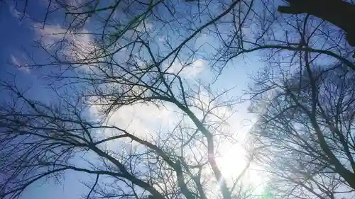 神明社（国府宮神明社）の景色