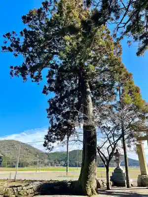 若宮神社(滋賀県)