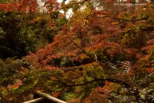 明王院（満願寺別院）の自然