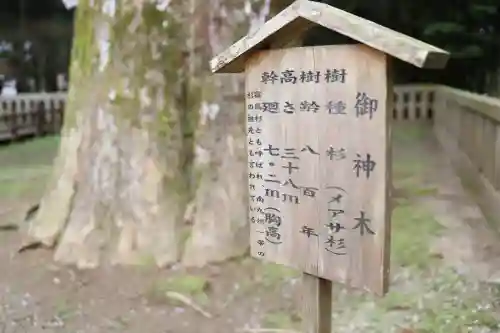 霧島神宮(鹿児島県)