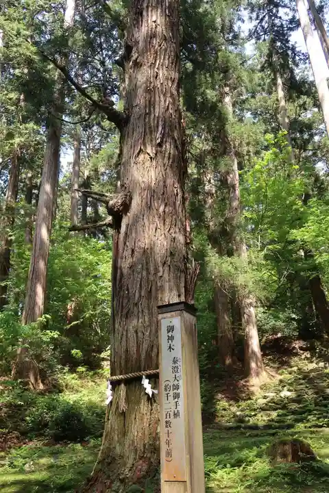 平泉寺白山神社(福井県)