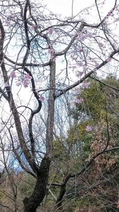 松ヶ崎大黒天 妙圓寺(妙円寺)(京都府)