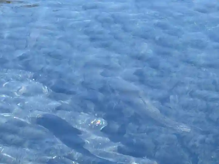 富士山本宮浅間大社(静岡県)